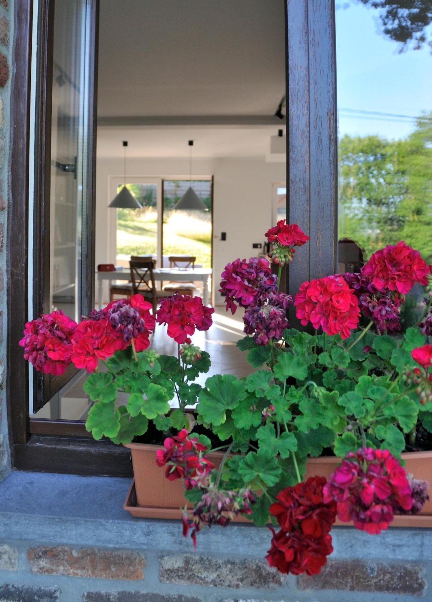 Tres Belle Villa 4 Facades Dans Quartier Vert Et Arbore - 5 Kms De นามูร์ ภายนอก รูปภาพ
